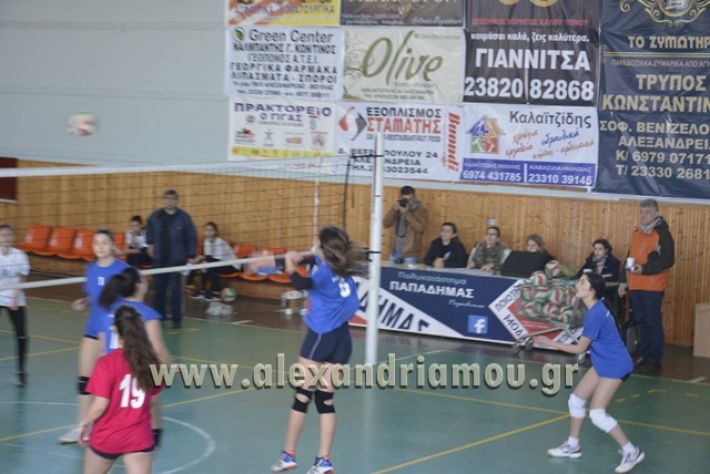 volley_1o-alexandreias-melikis2018 (19)